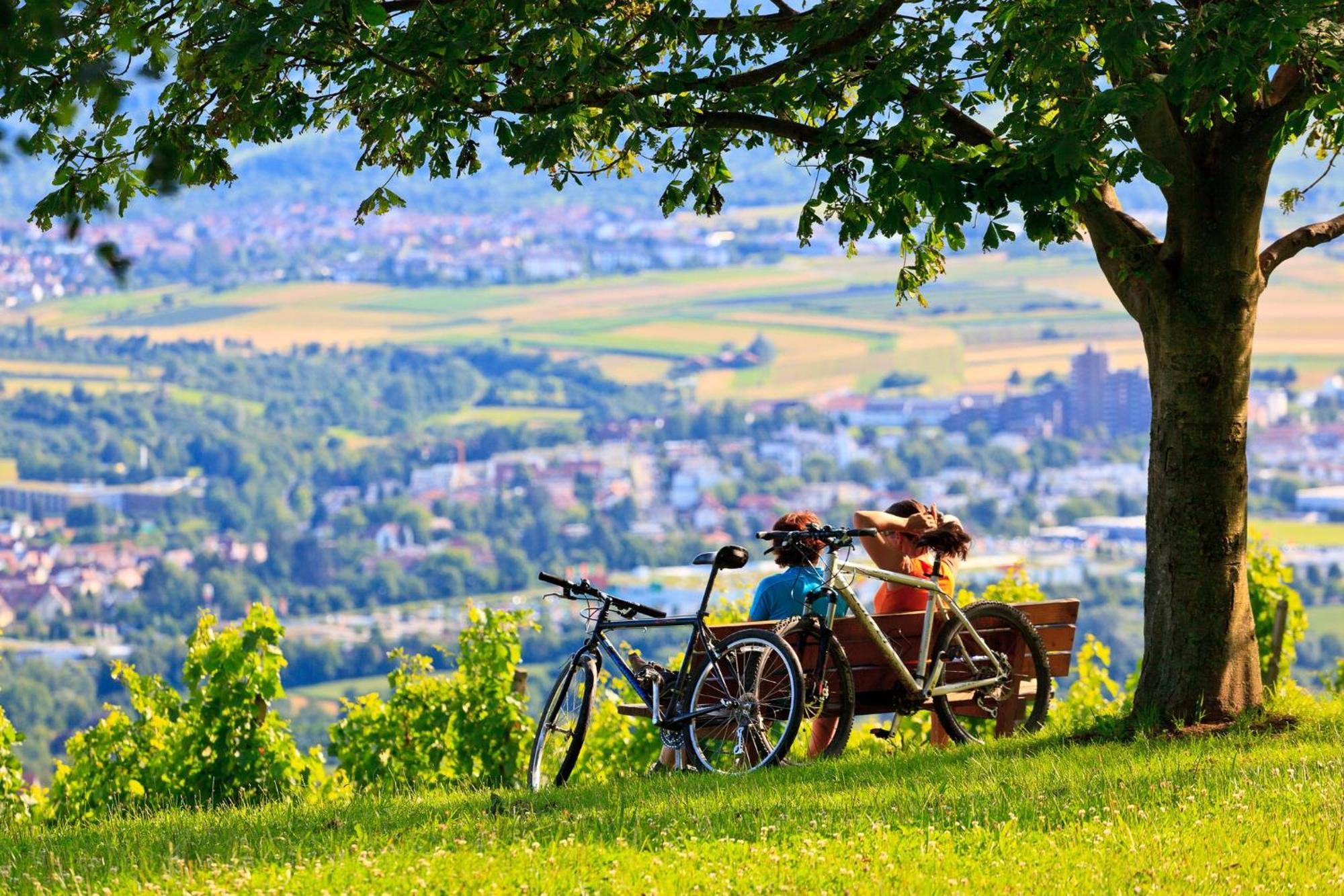 Holiday Inn Express Stuttgart-Waiblingen By Ihg Kültér fotó